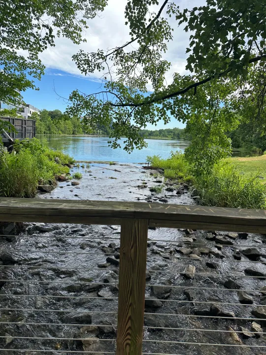 photo looking out to a lake from a small foot bridge.